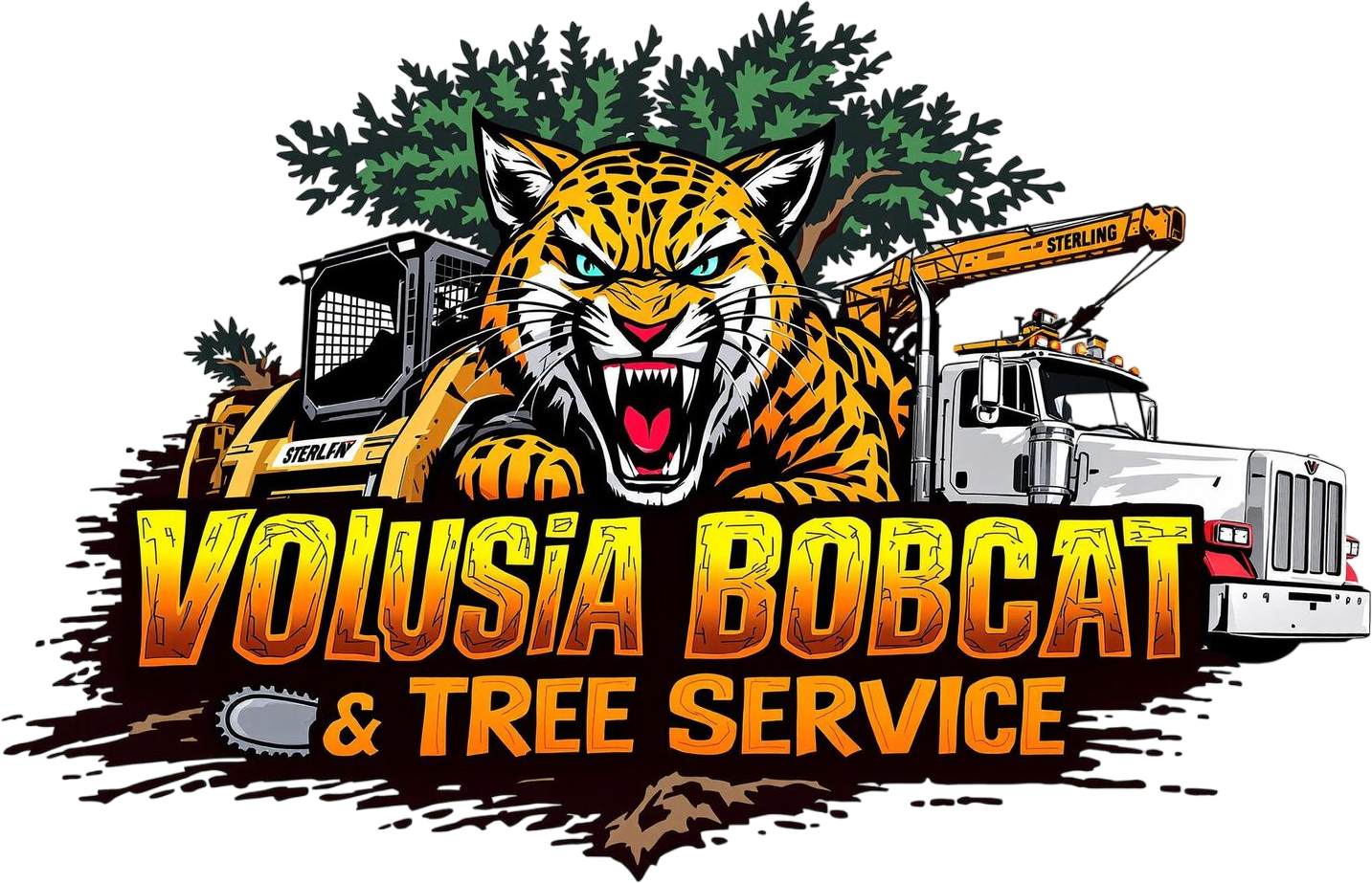 Volusia Bobcat & Tree Service- Ormond Beach Tree Service